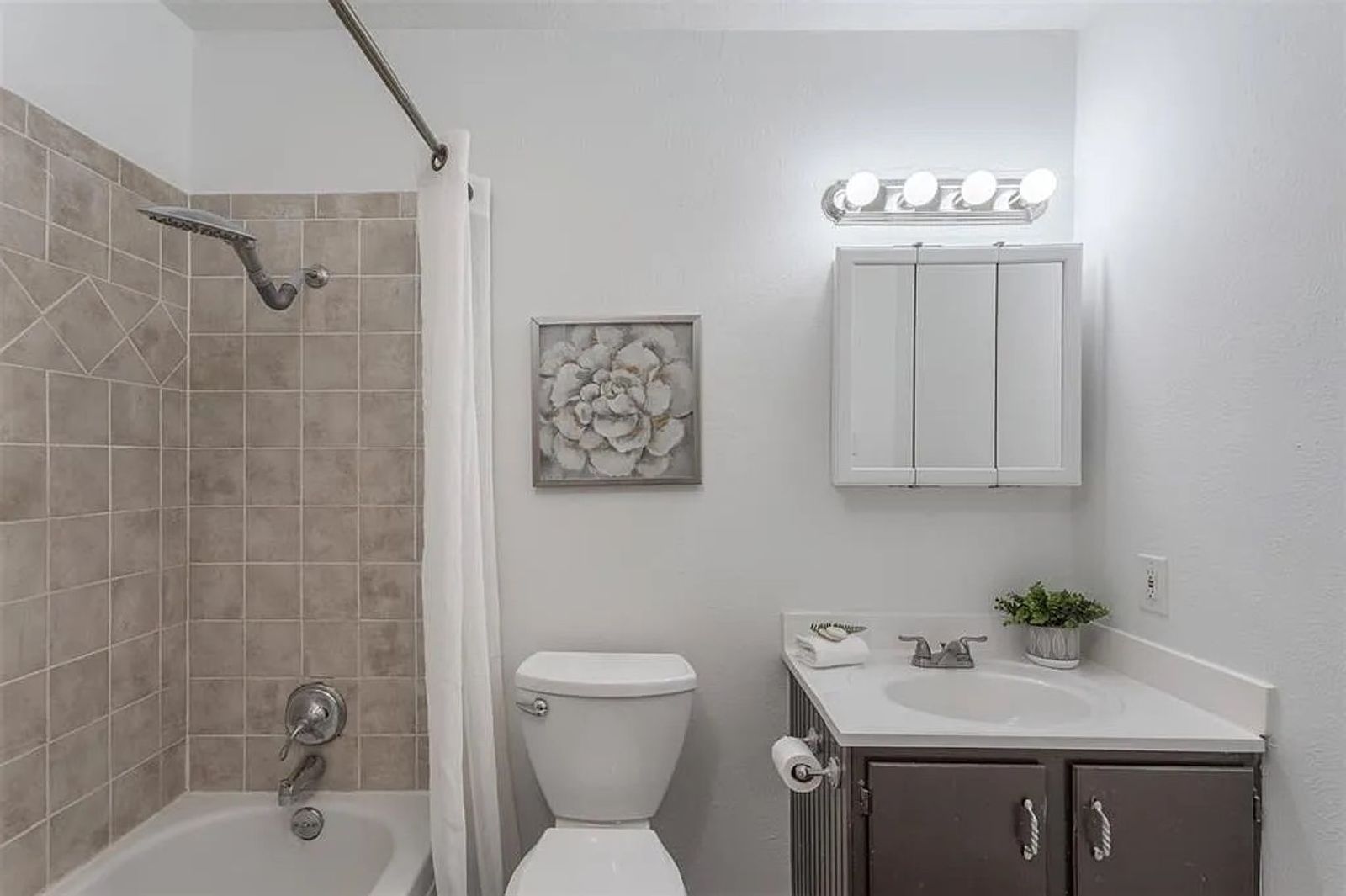 Charming 3-Bed Flower Mound Home! Backs to Park, Pond & Playground property image